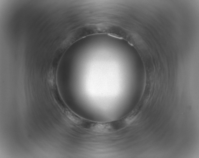 X0000070420129200606091248