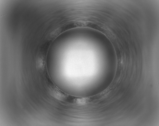 X0000070420134200606091248