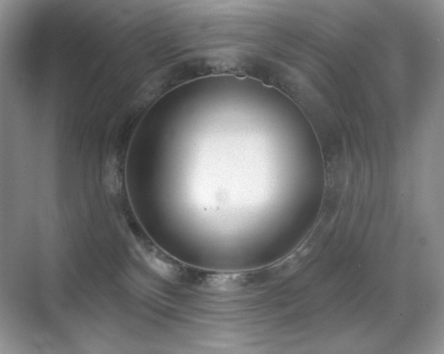 X0000070420136200606091248