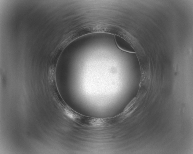 X0000070420142200606091248
