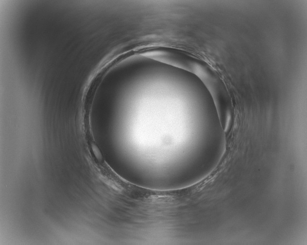X0000070420150200606091247