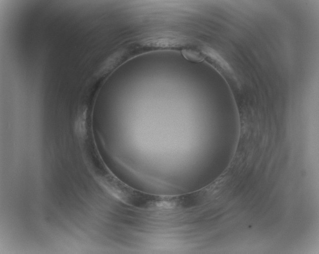 X0000070420163200606091247