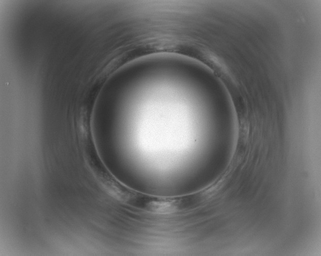 X0000070420170200606091247