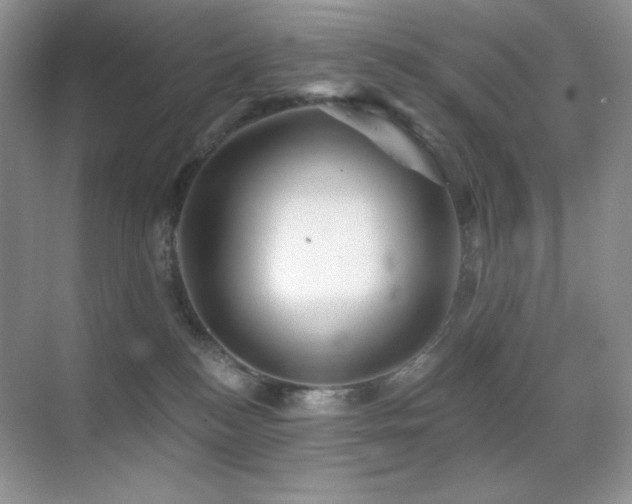 X0000070420184200606091247