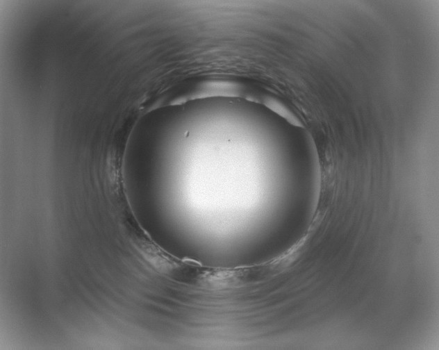 X0000070420186200606091247