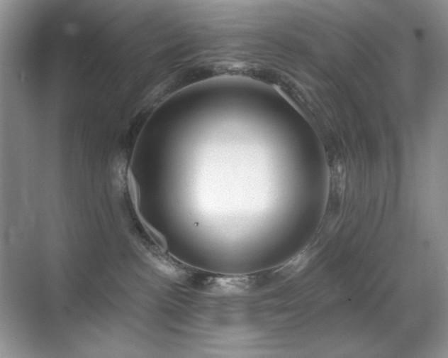 X0000070420188200606091247