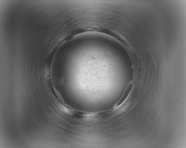X0000070420192200606091247