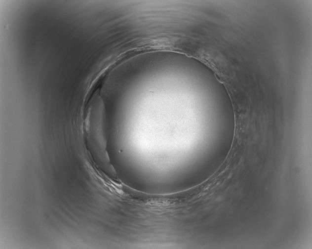 X0000070420194200606091247