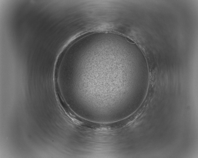 X0000070420196200606091247