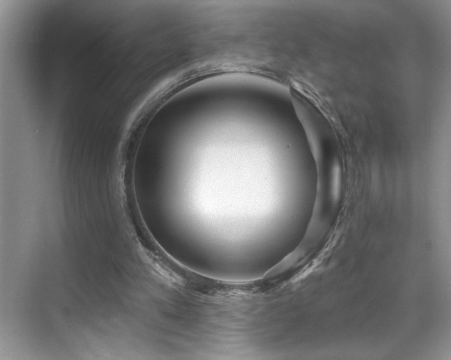 X0000070420197200606091247
