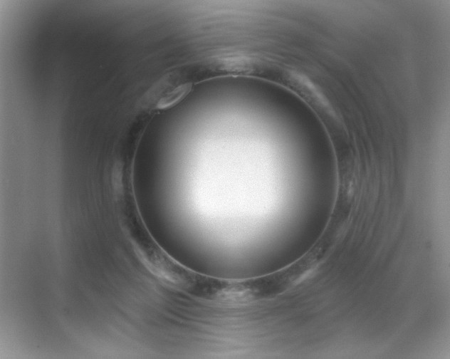 X0000070420213200606091246