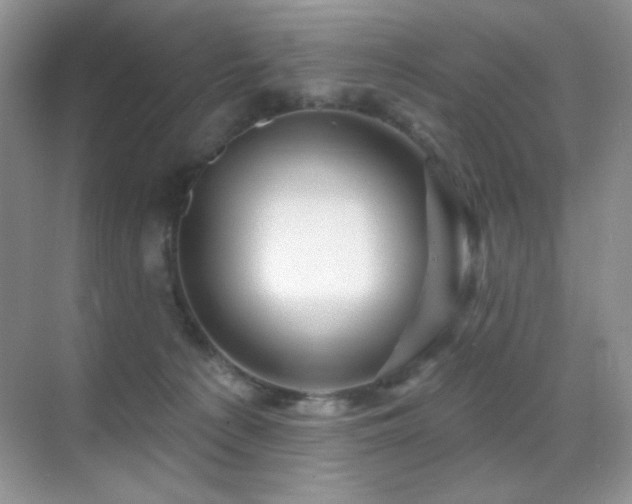 X0000070420225200606091246