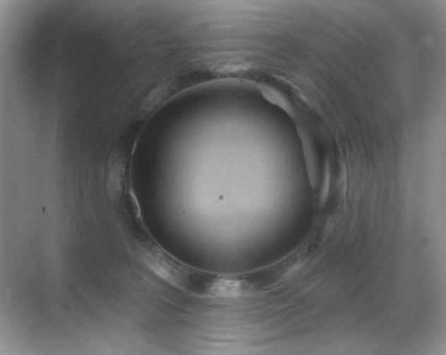 X0000070420227200606091246