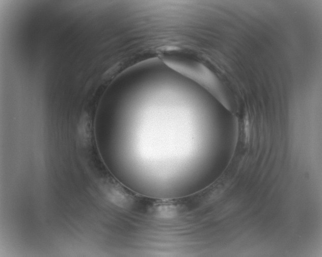 X0000070420228200606091246