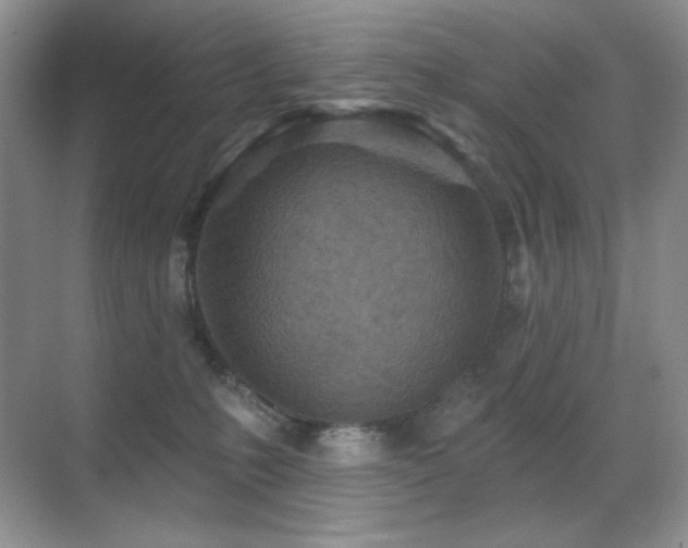 X0000070420231200606091246