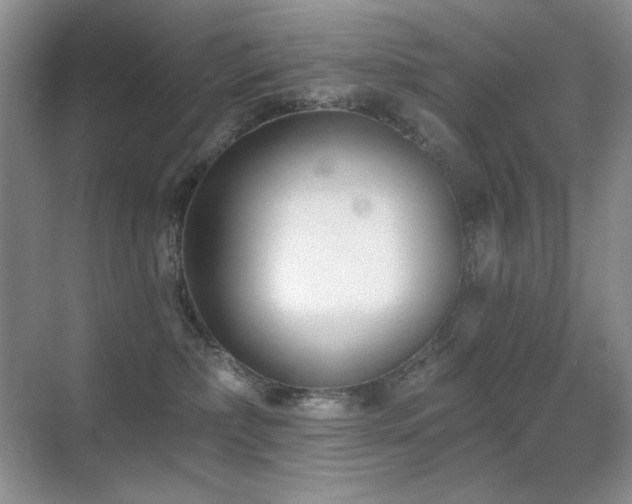 X0000070420236200606091246