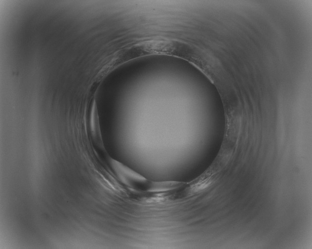 X0000070420239200606091246
