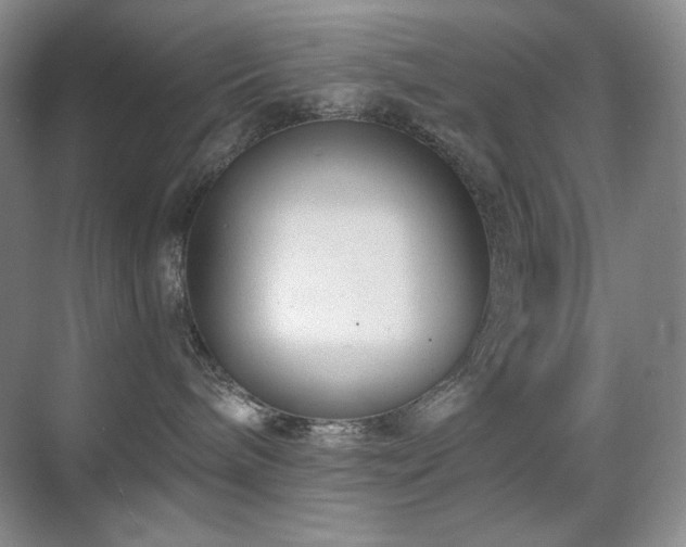 X0000070420240200606091246