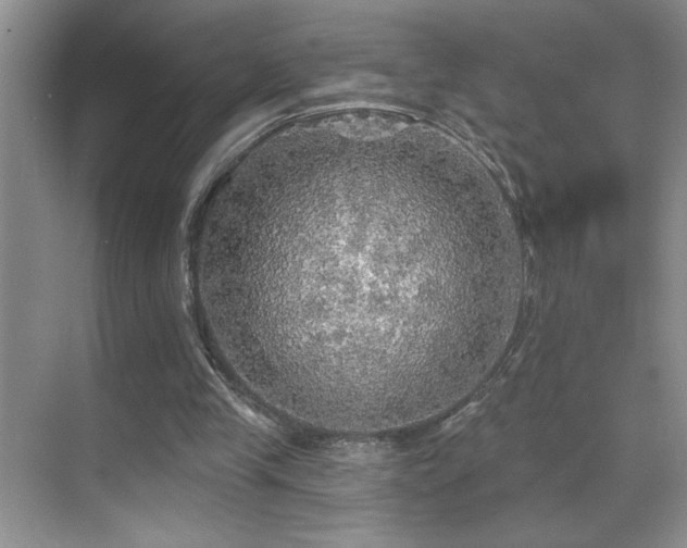 X0000070420245200606091245