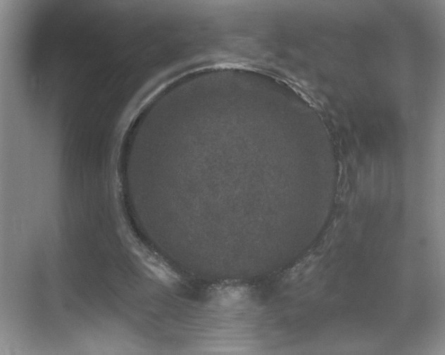 X0000070420247200606091245