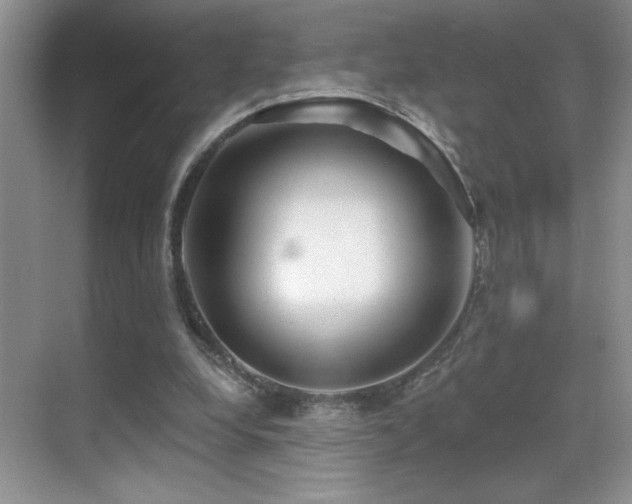 X0000070420248200606091245