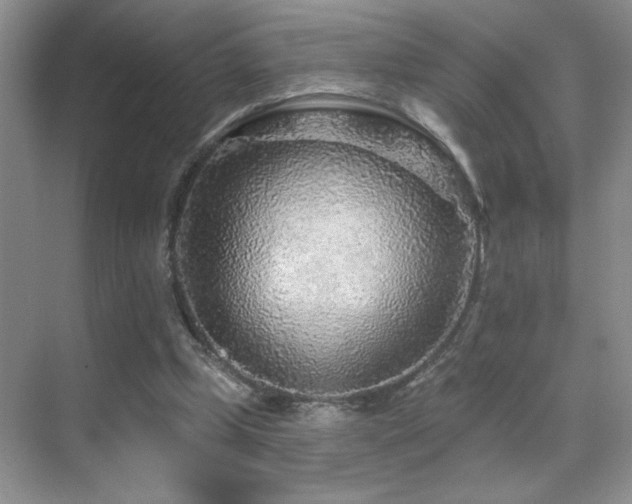 X0000070420249200606091245