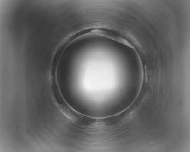 X0000070420252200606091245
