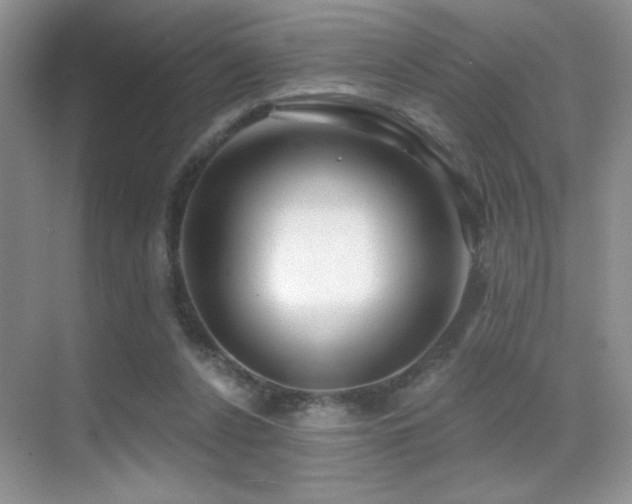 X0000070420256200606091245