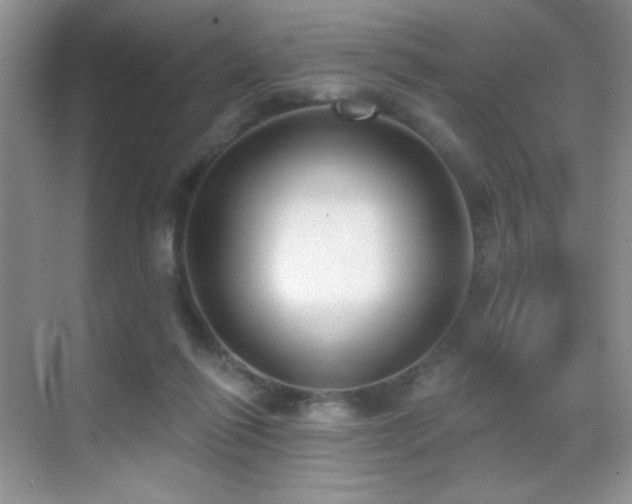 X0000070420262200606091245