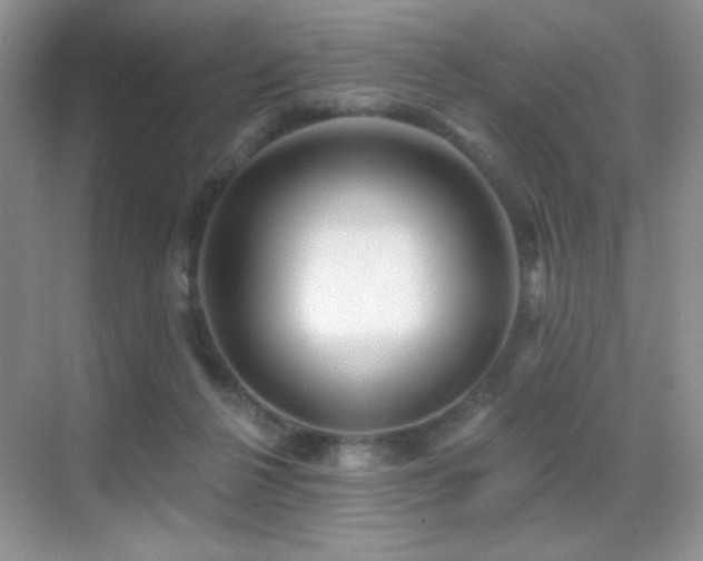 X0000070420264200606091245