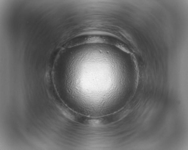 X0000070420265200606091245