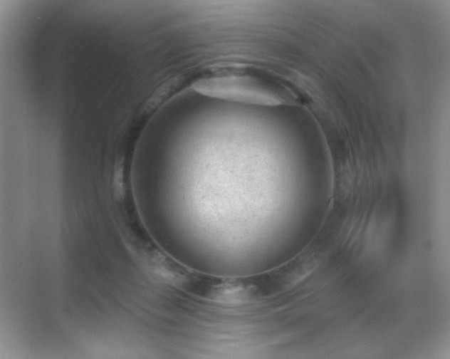 X0000070420267200606091245