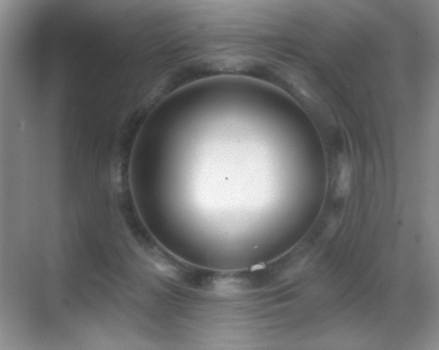 X0000070420268200606091246