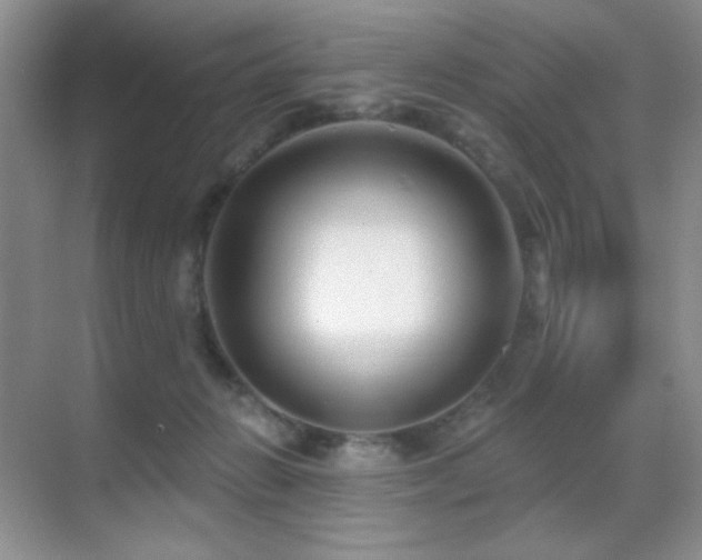X0000070420270200606091246