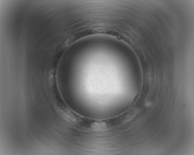 X0000070420271200606091246