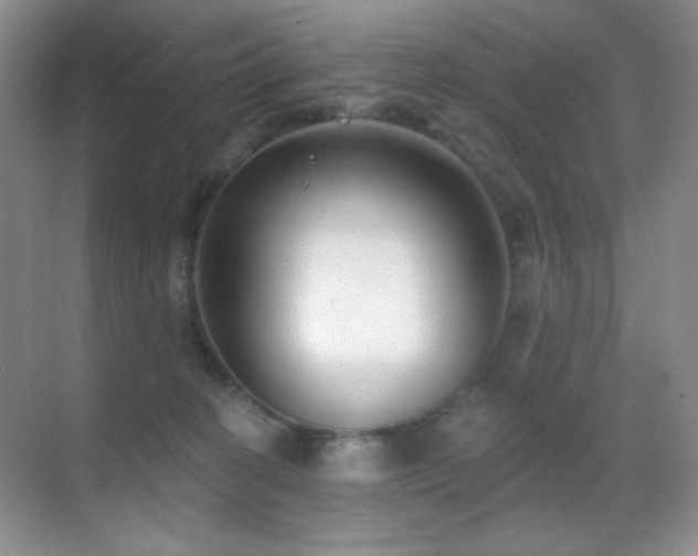 X0000070420274200606091246