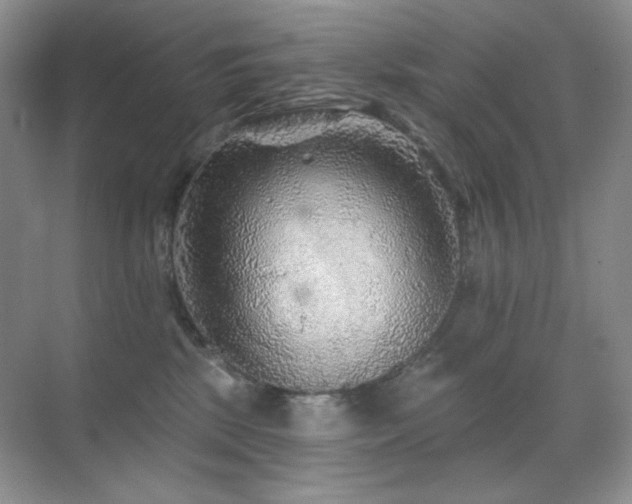 X0000070420281200606091246