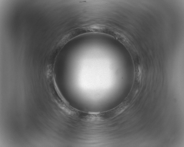 X0000070420284200606091246