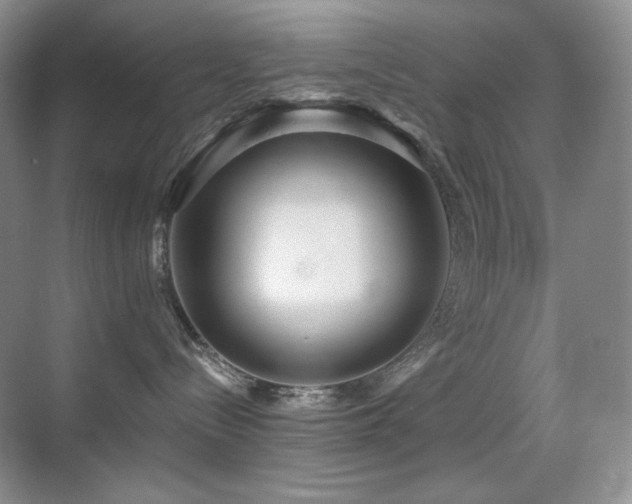 X0000070420288200606091246
