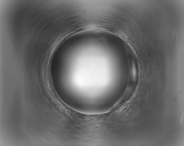 X0000070420289200606091245