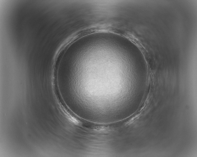 X0000070420293200606091245