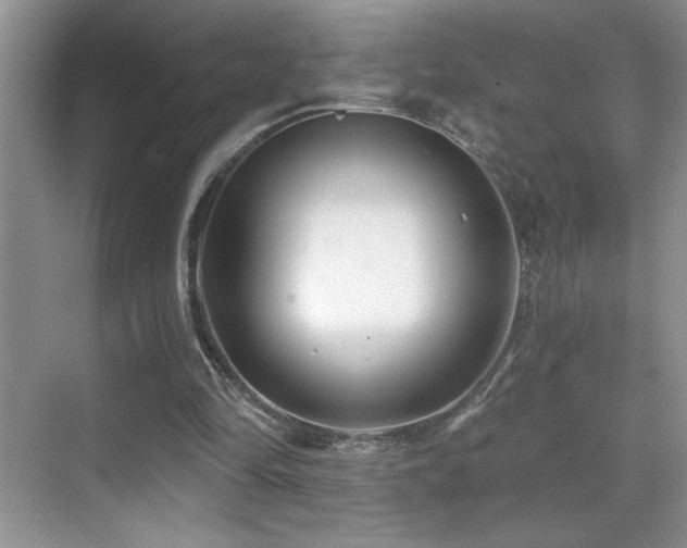 X0000070420294200606091245