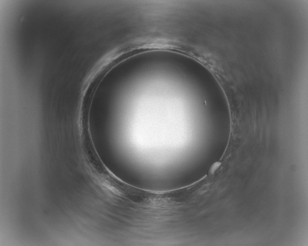 X0000070420296200606091245