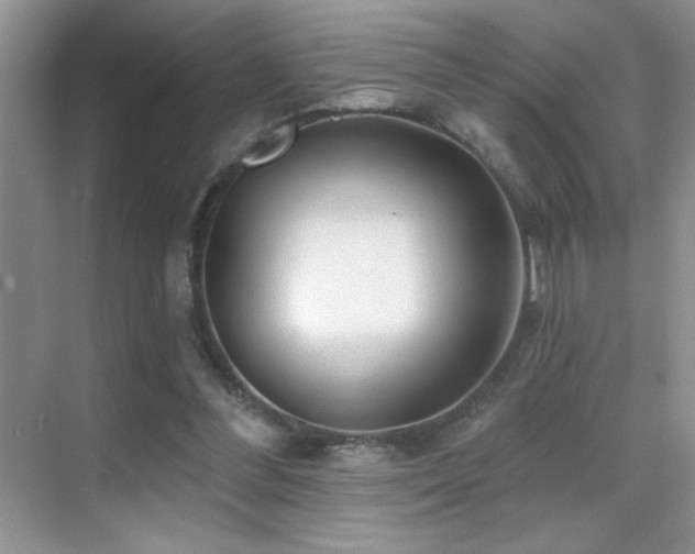 X0000070420300200606091245