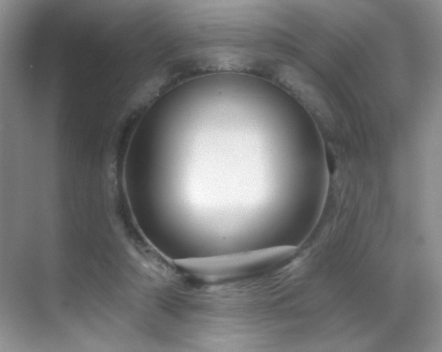 X0000070420306200606091245