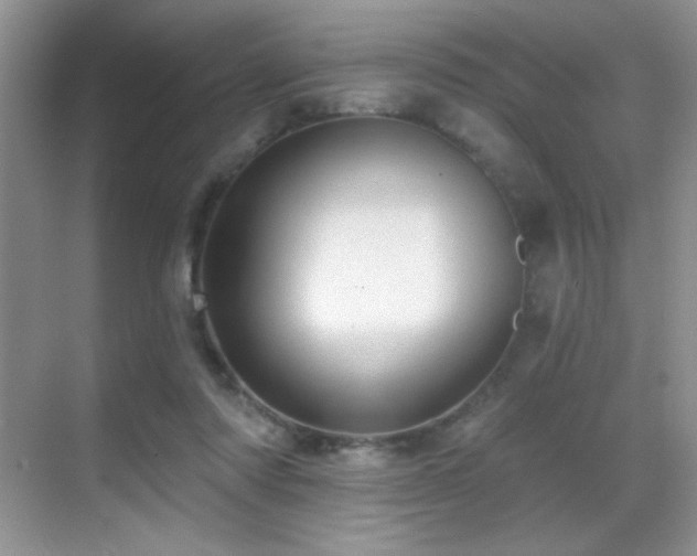 X0000070420310200606091245