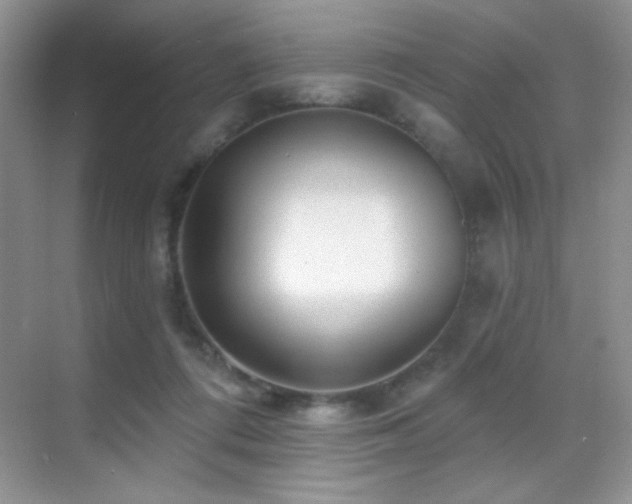 X0000070420312200606091245