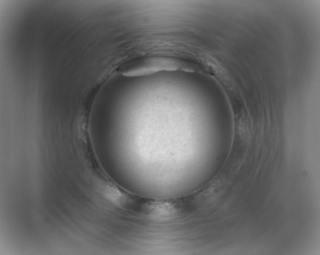 X0000070420322200606091244