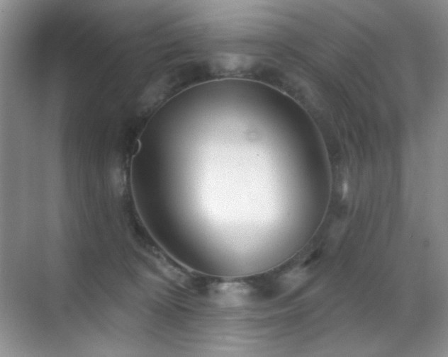 X0000070420324200606091244