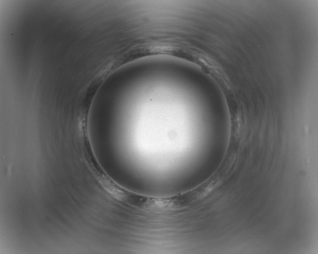 X0000070420329200606091244
